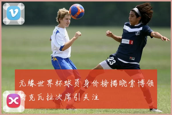 无缘世界杯球员身价榜揭晓索博领衔克瓦拉次席引关注