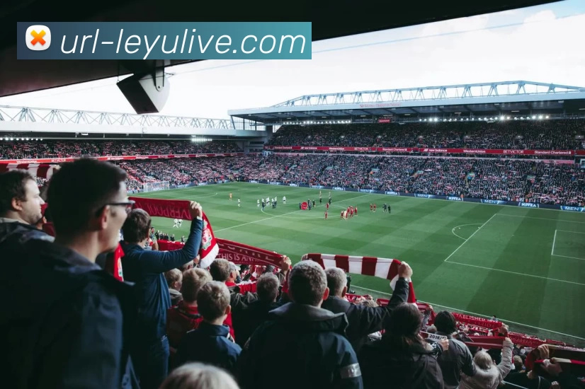 乐鱼体育APP 封面图